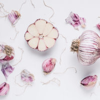 EAF-Garlic-Web-1