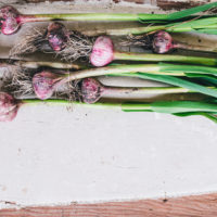 Garlic-Ad-1